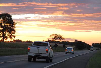 Reprodução/ iStock Reprodução/ iStock