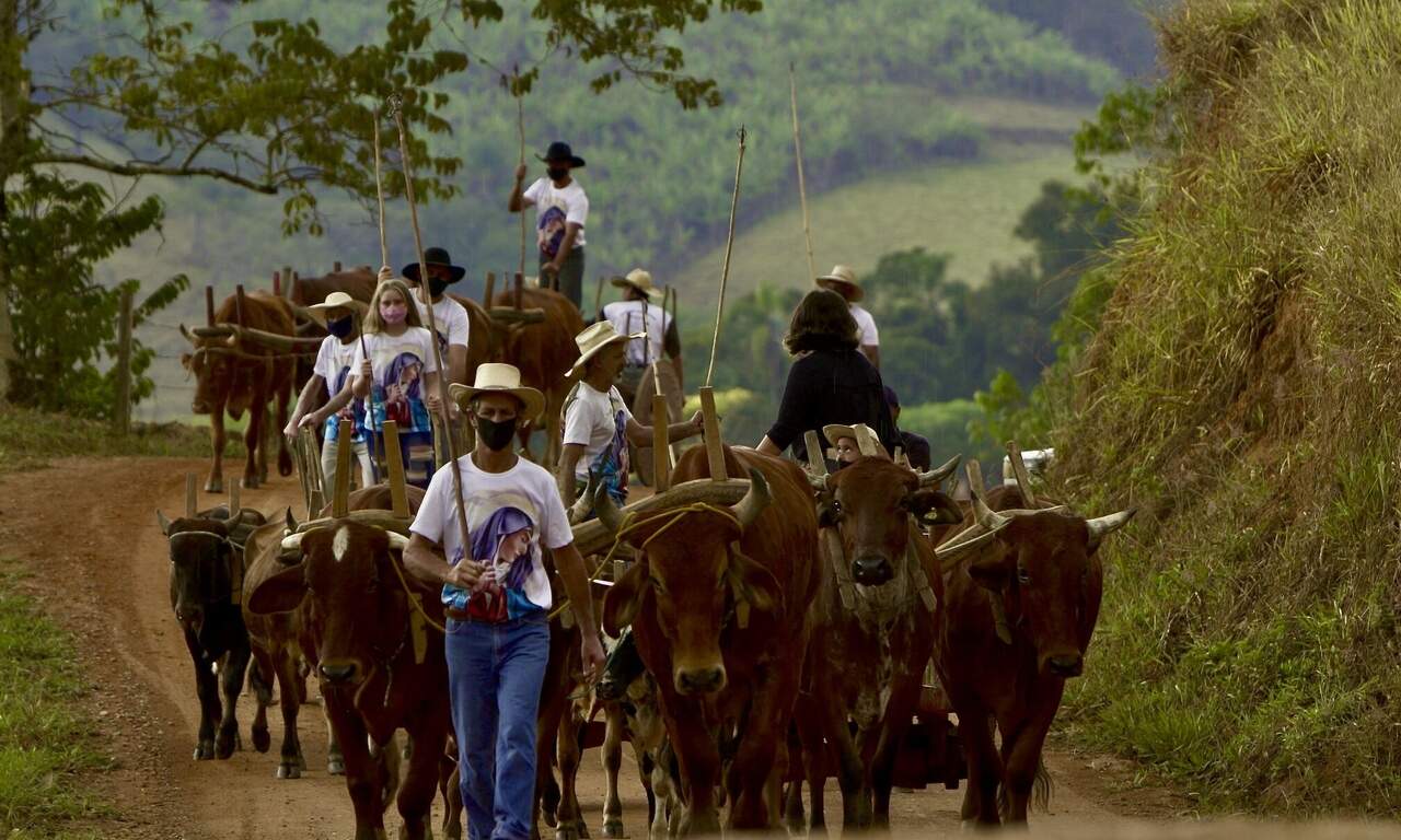 Divulgação / TV Aparecida Divulgação / TV Aparecida