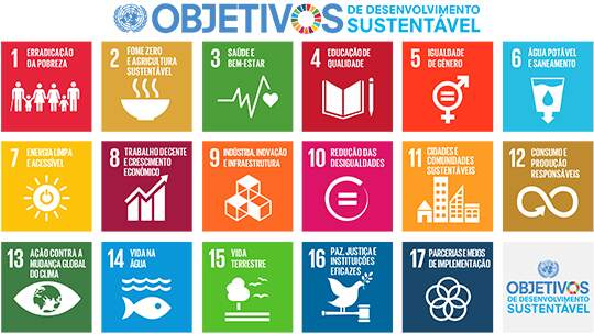 17 Objetivos do Desenvolvimento Sustent&aacute;vel