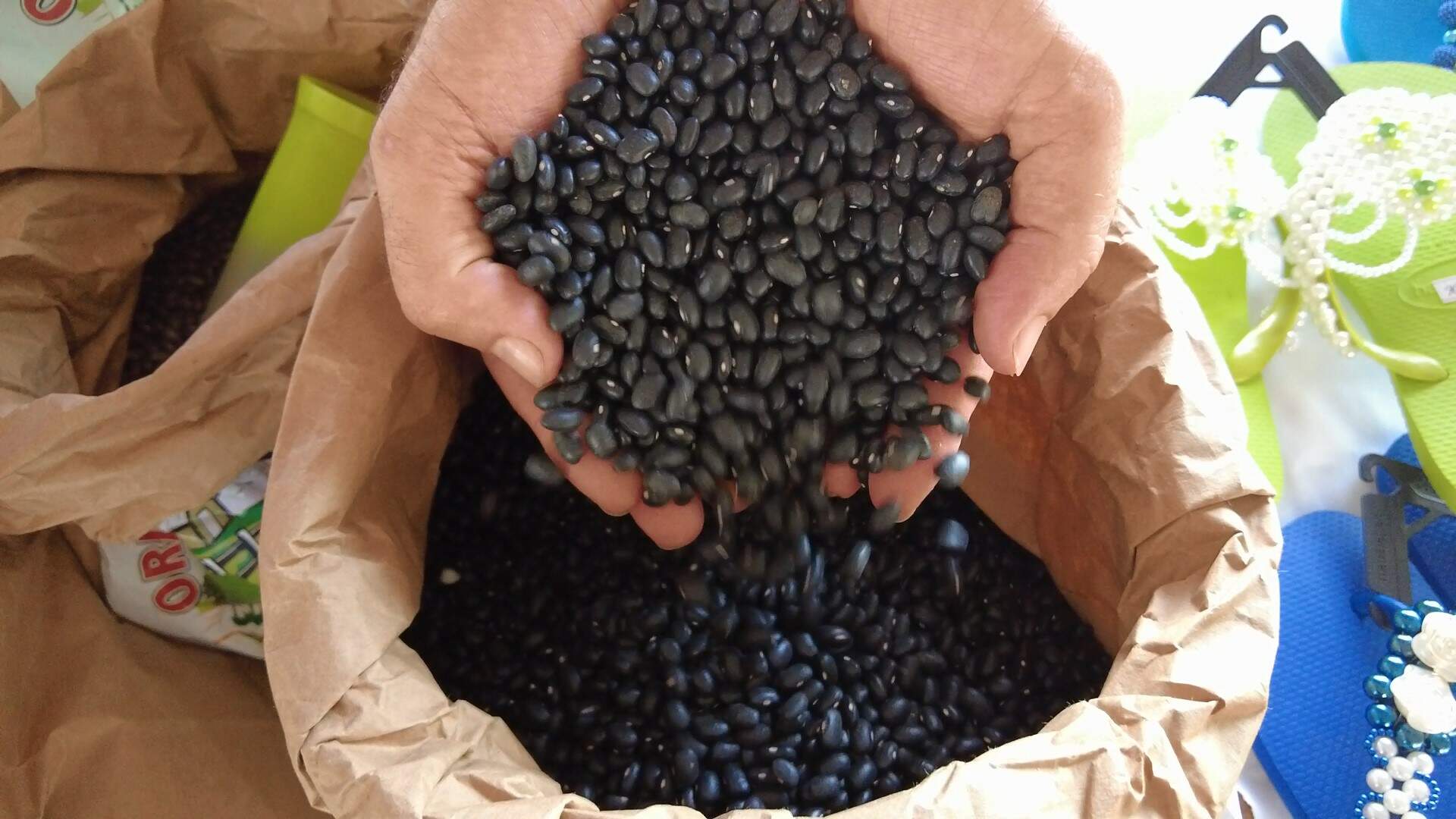 Reprodução TV Aparecida