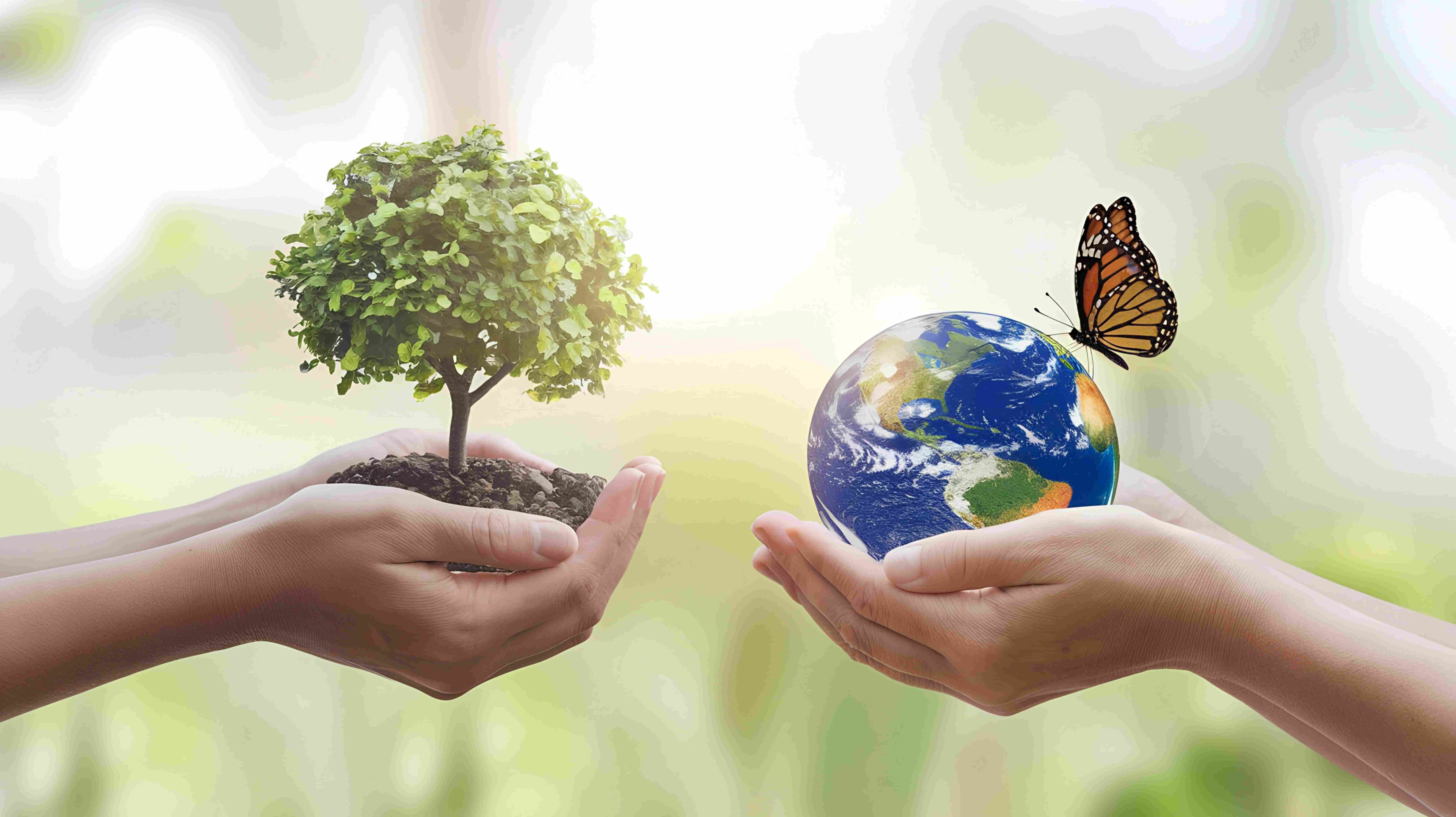 MSTSONIA/AdobeStock MSTSONIA/AdobeStock