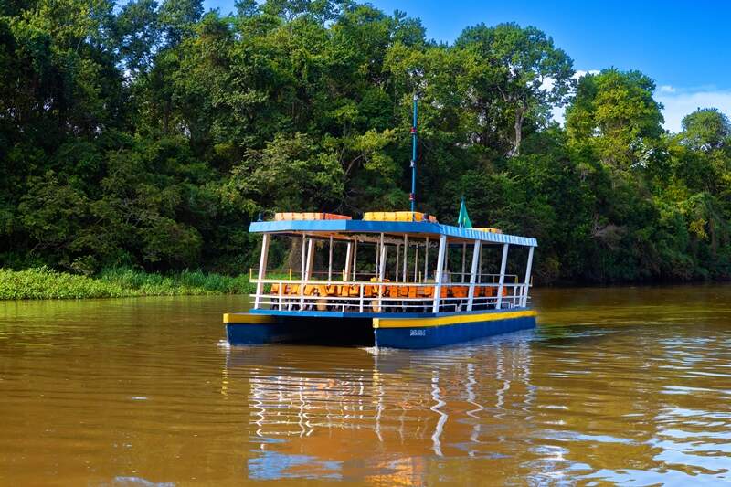 João Athaide João Athaide