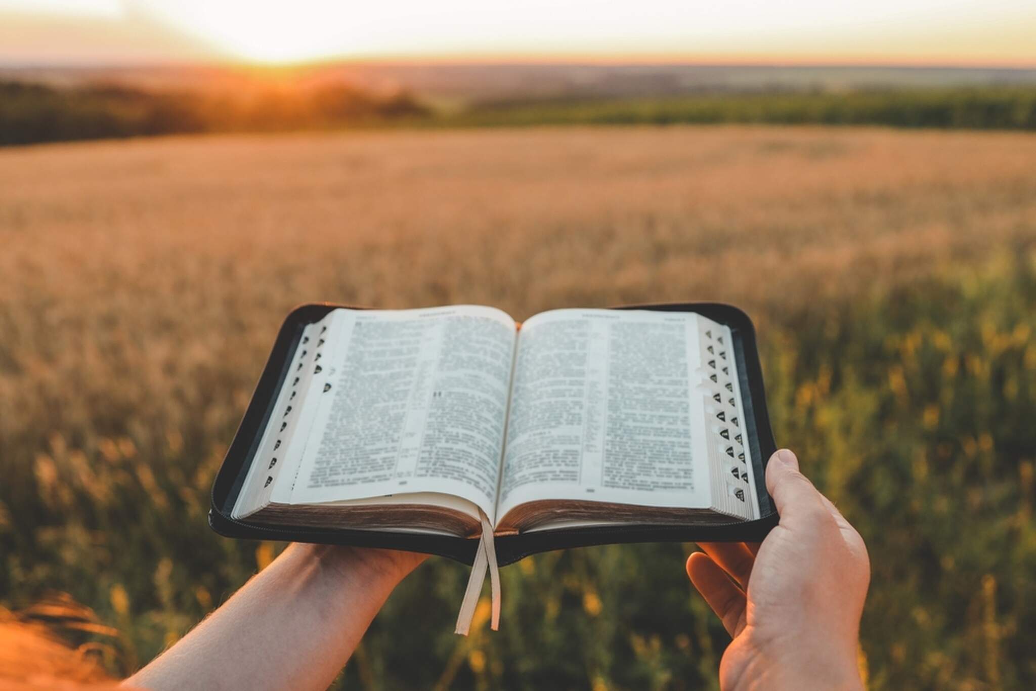 shine.graphics / Shutterstock shine.graphics / Shutterstock