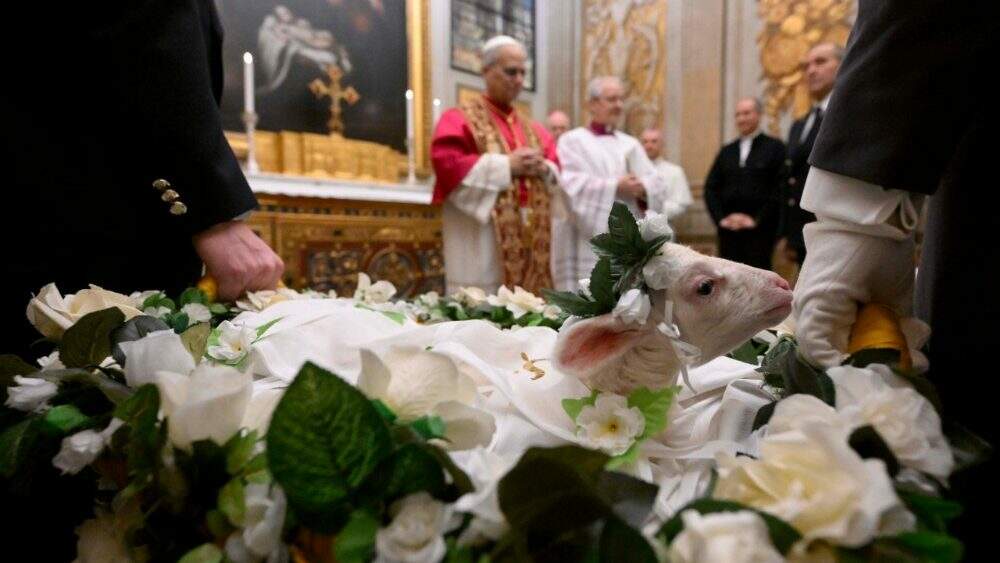 Vatican News