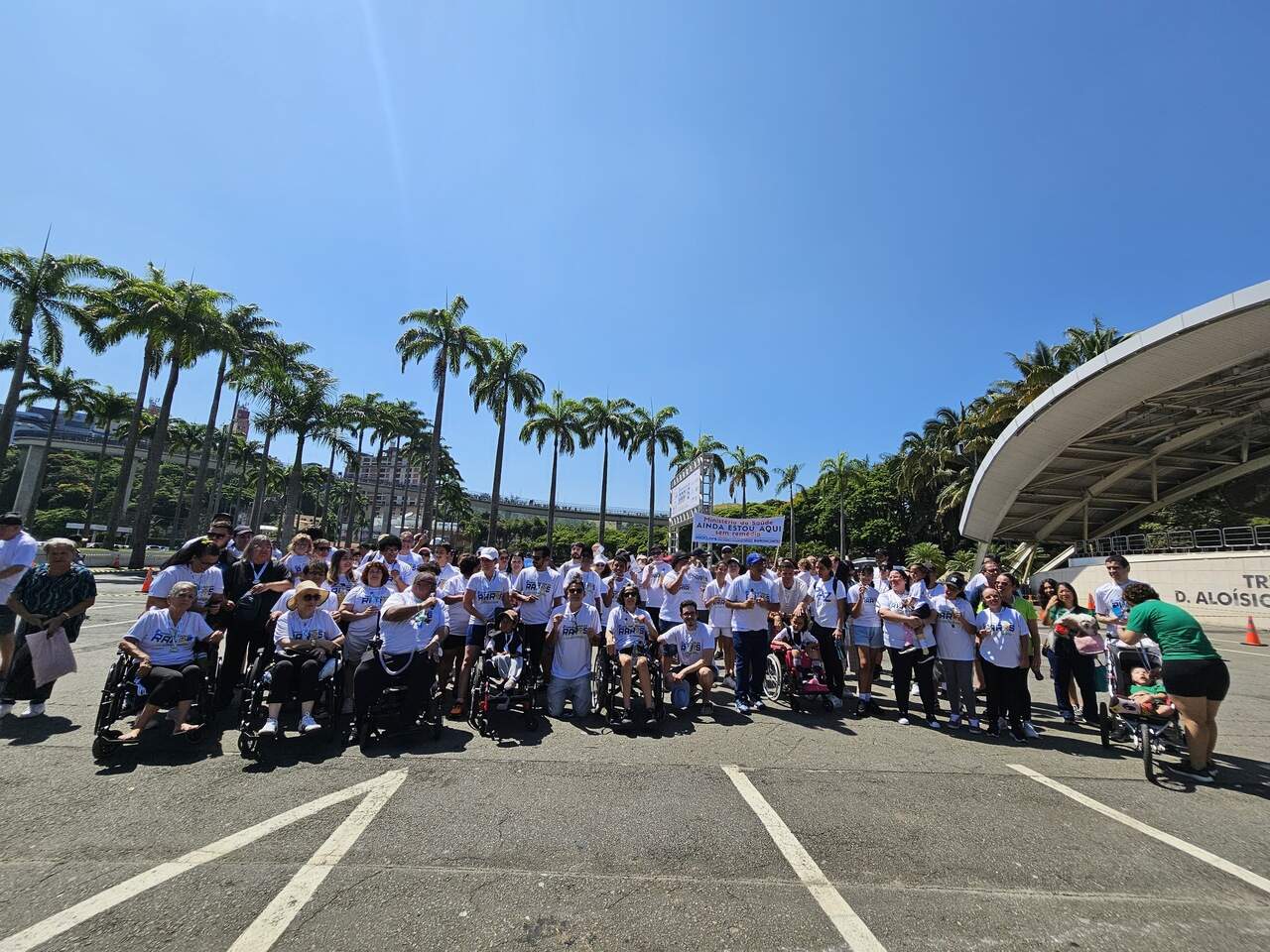 Andreza Galvão - A12 Andreza Galvão - A12