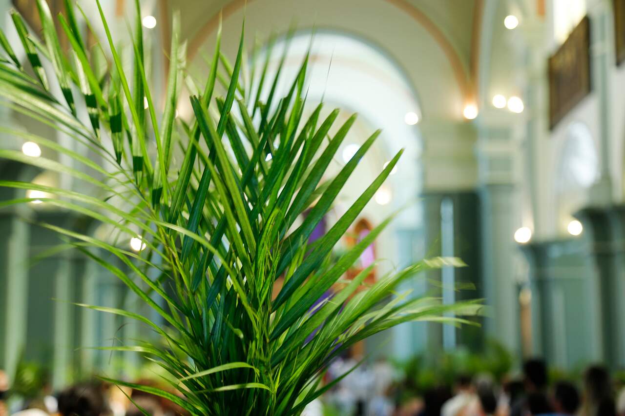  SIDNEY DE ALMEIDA/ADOBE STOCK