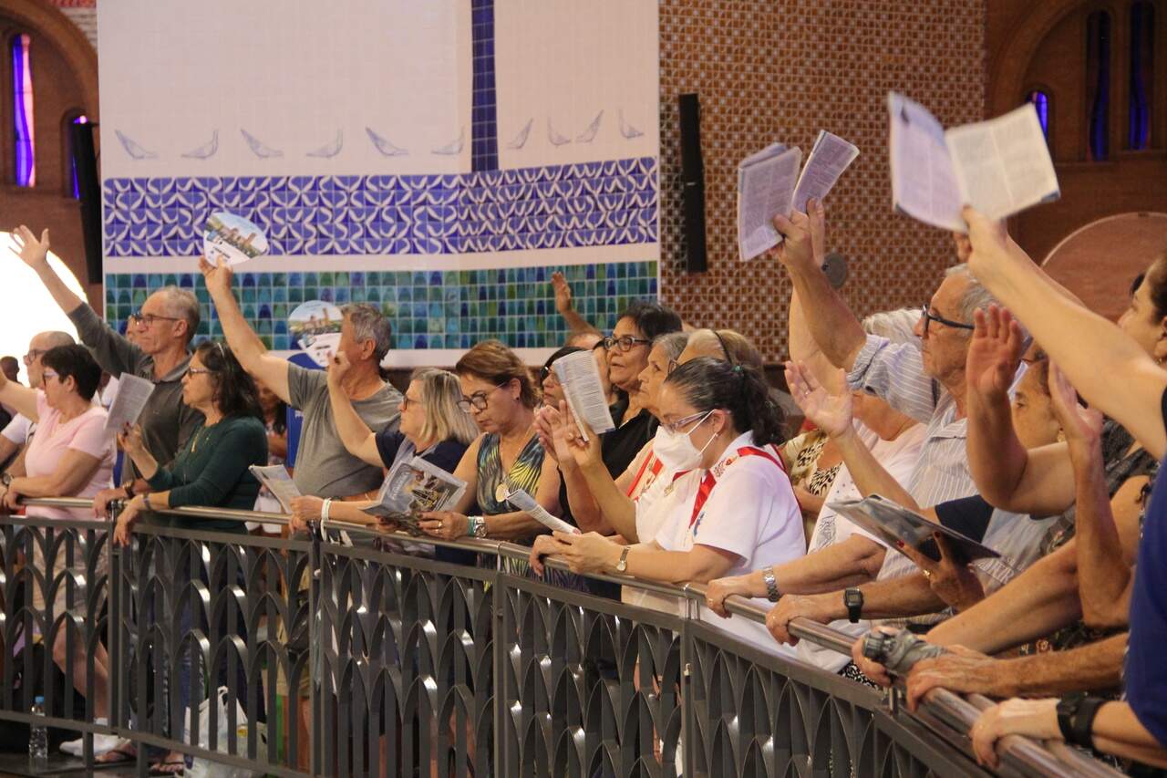 Ana Laura Marcondes Ana Laura Marcondes