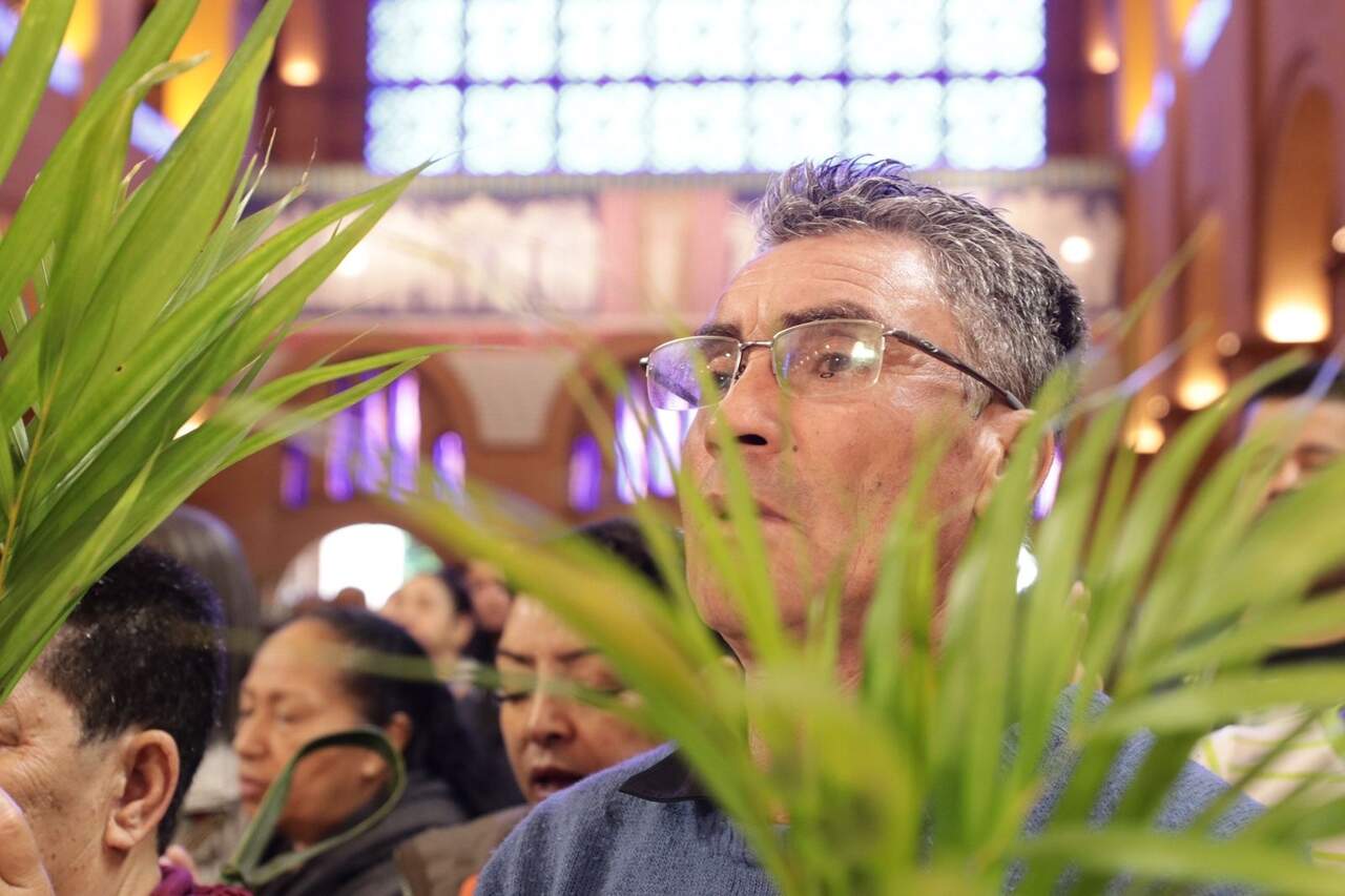 João Pedro Oliveira - A12 João Pedro Oliveira - A12