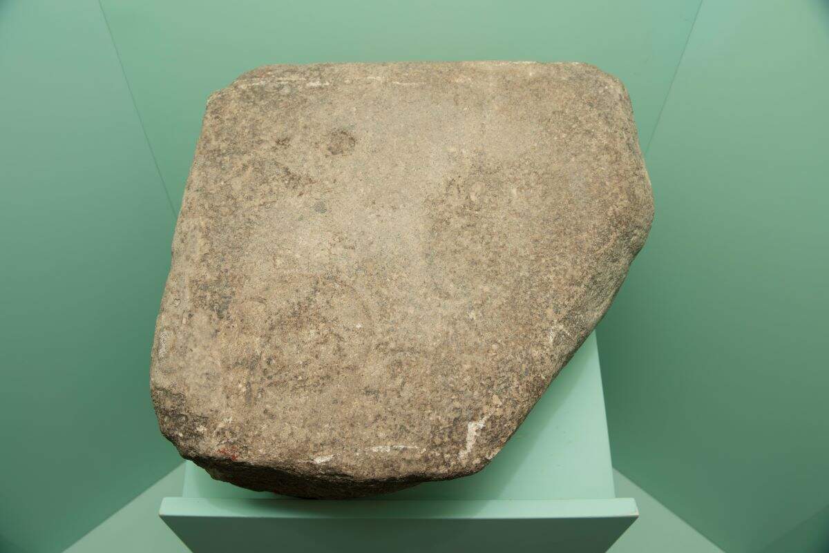 Thiago Leon Thiago Leon