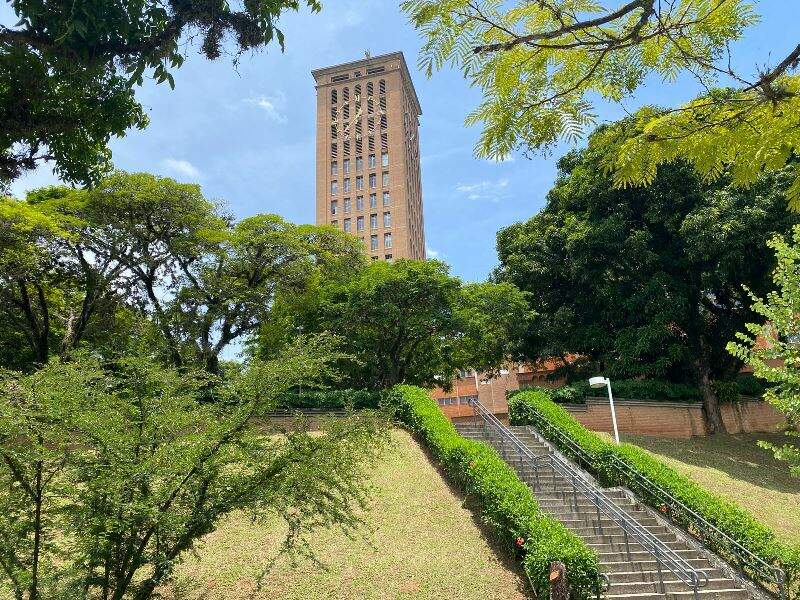 Julia Silveira Julia Silveira