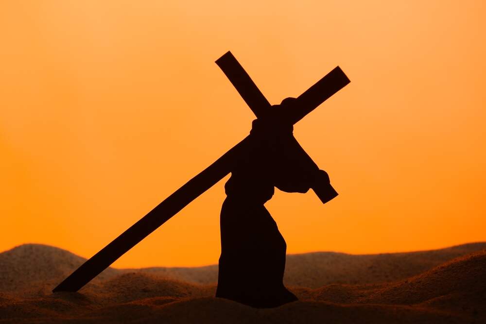 Pixel-Shot/ shutterstock Pixel-Shot/ shutterstock