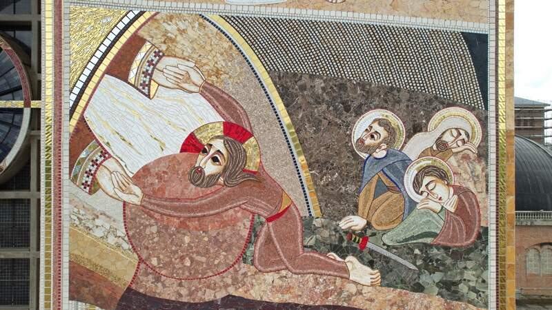 Carlos Rodrigues Carlos Rodrigues