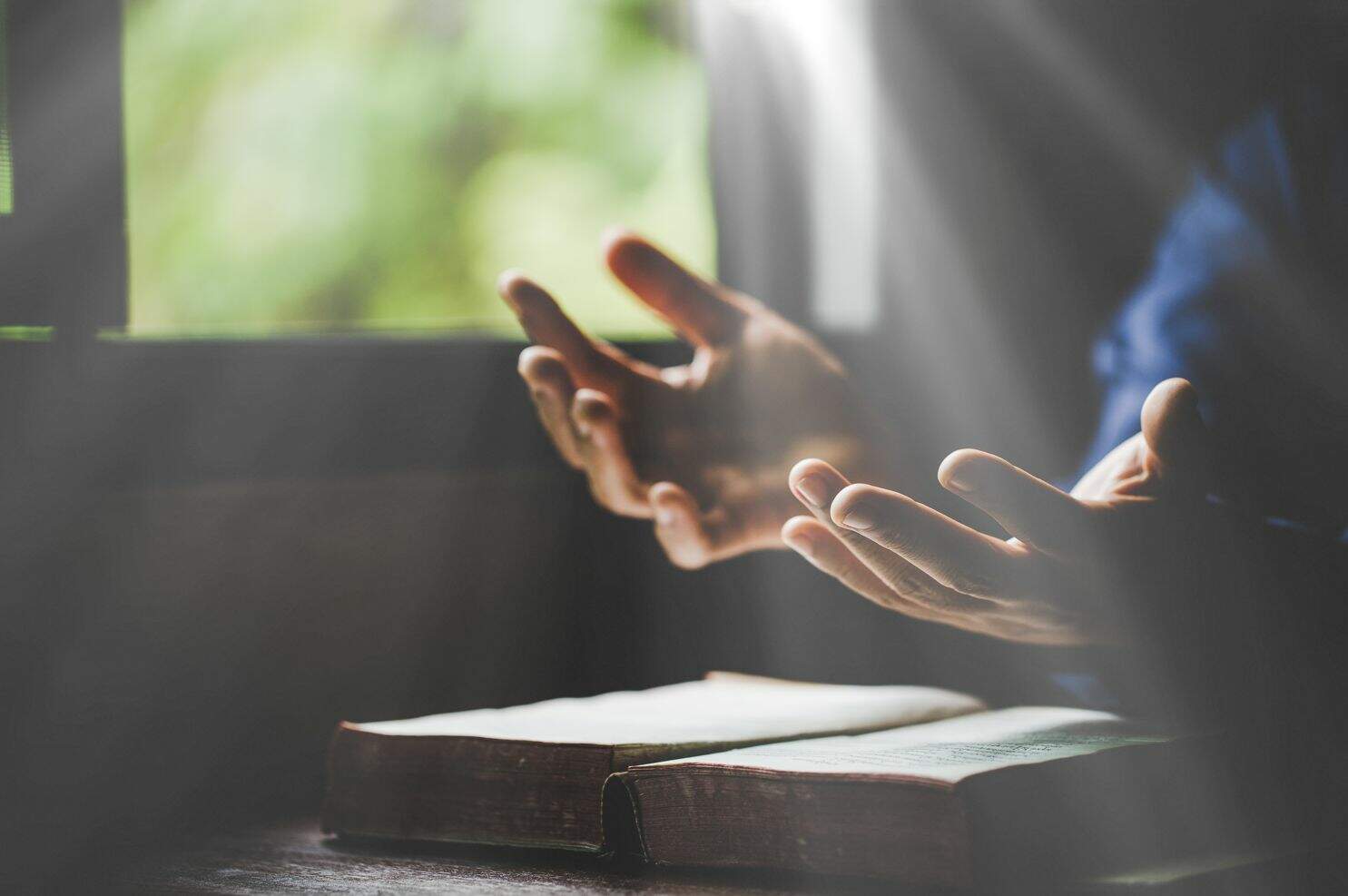 Doidam 10 / Shutterstock Doidam 10 / Shutterstock