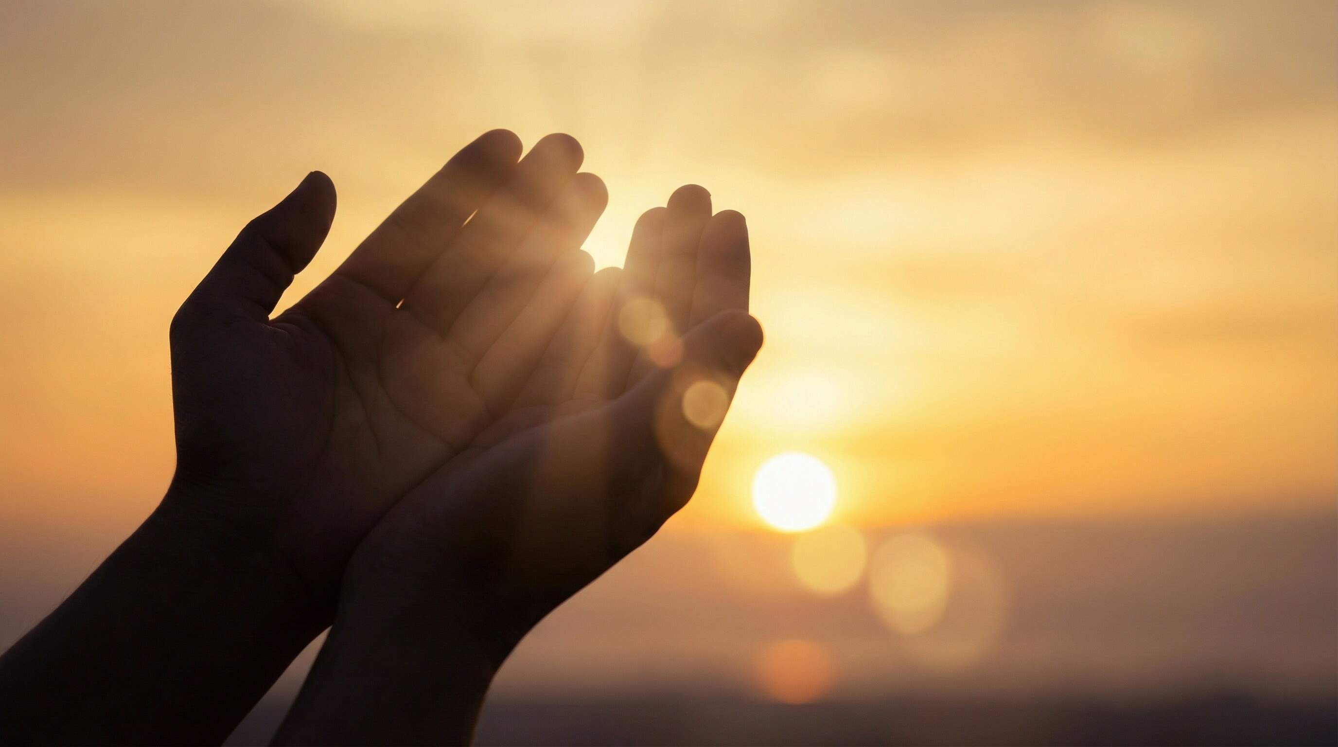 Mahmudul/Adobe Stock