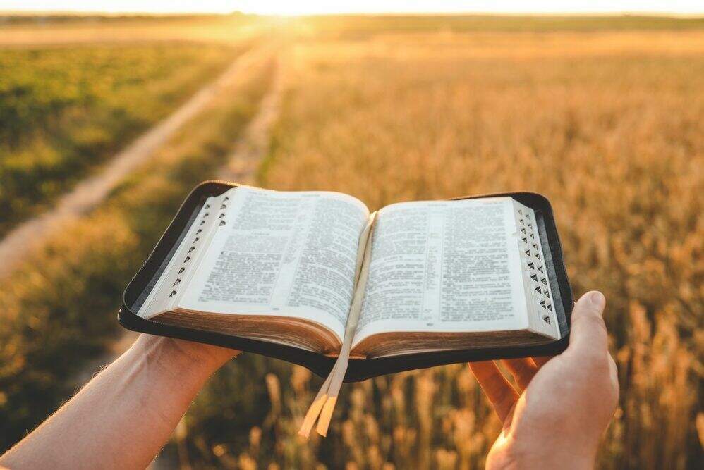 shine.graphics / Shutterstock shine.graphics / Shutterstock