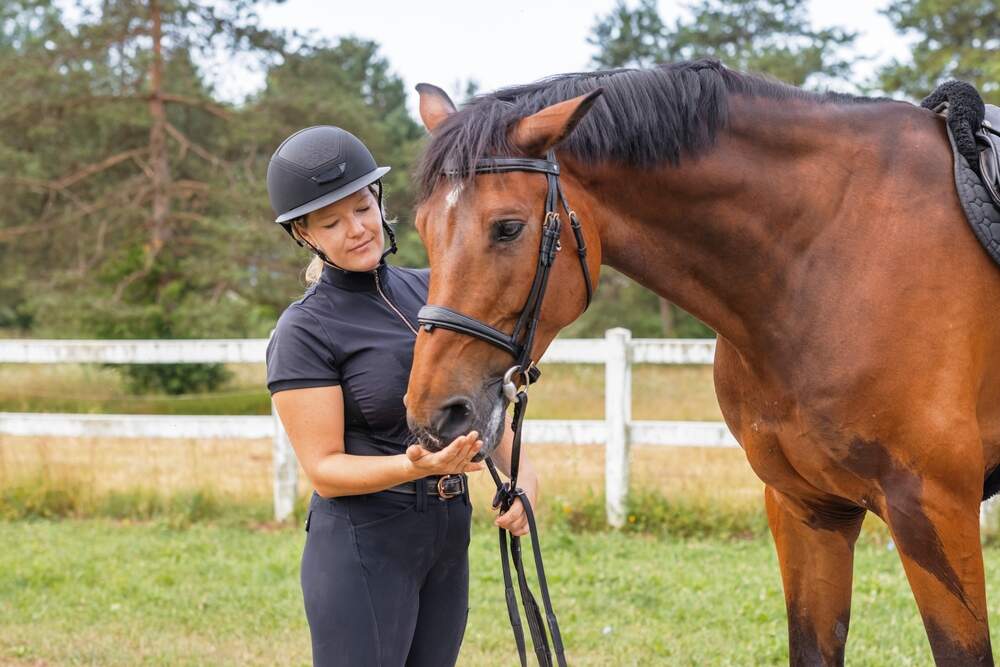 24K-Production / Shutterstock