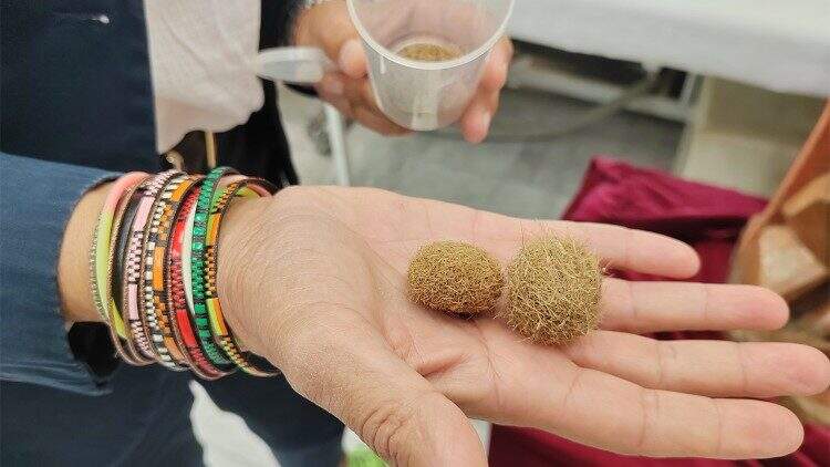 Reprodução/Vatican Media