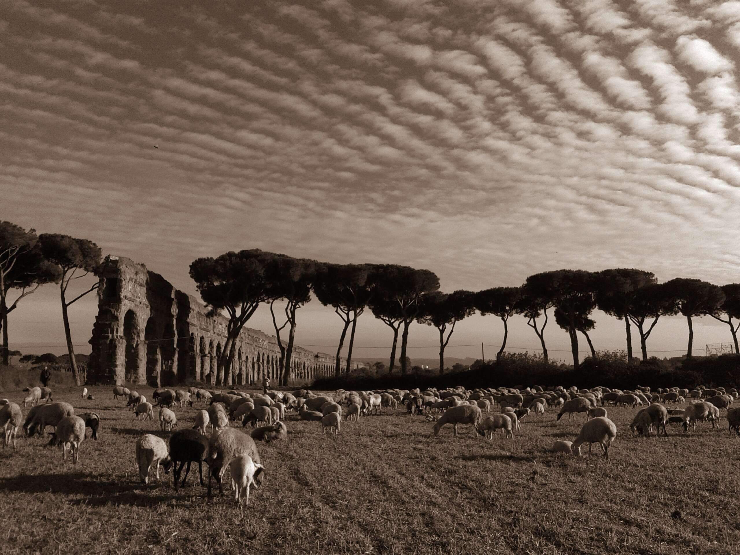 Carratoni/Adobe Stock