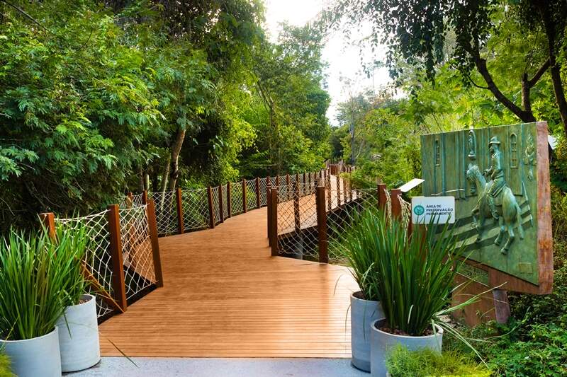 João Athaide João Athaide