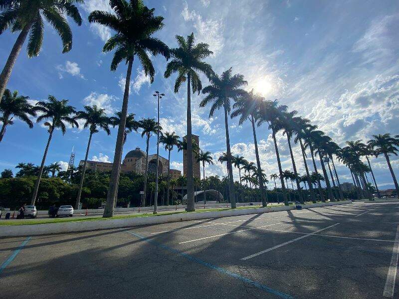 Julia Silveira Julia Silveira