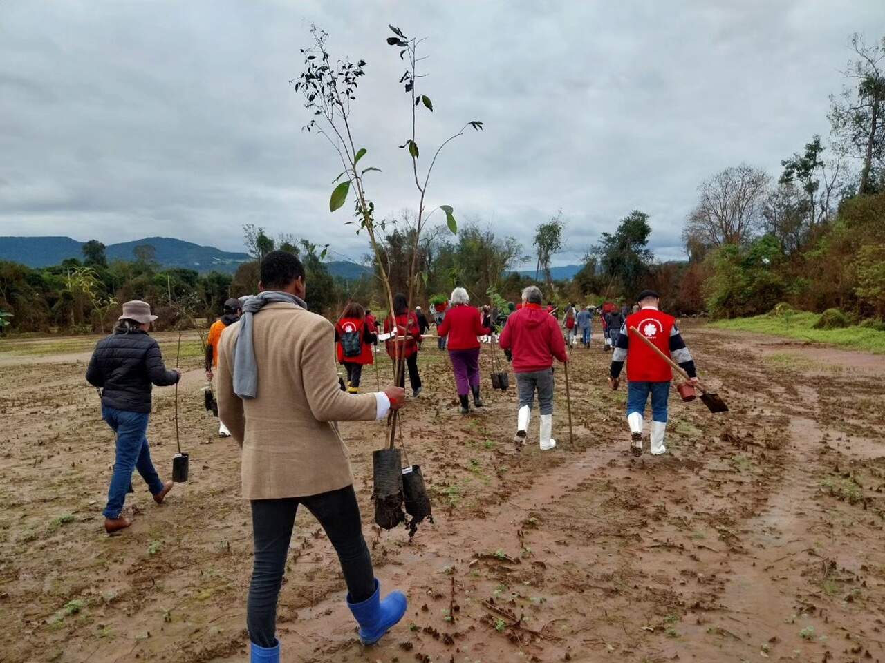 Cáritas RS Cáritas RS