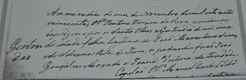 Gustavo Marcelino