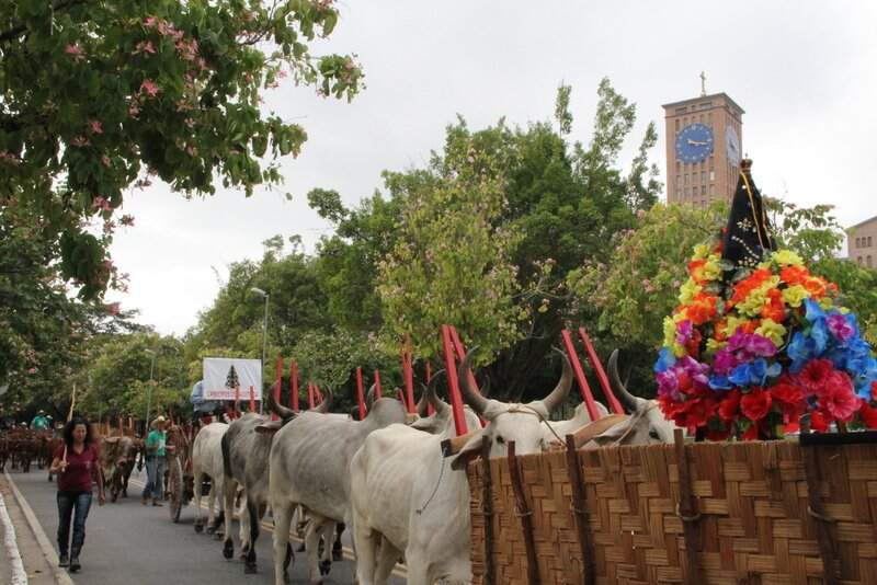 Gustavo Marcelino Gustavo Marcelino