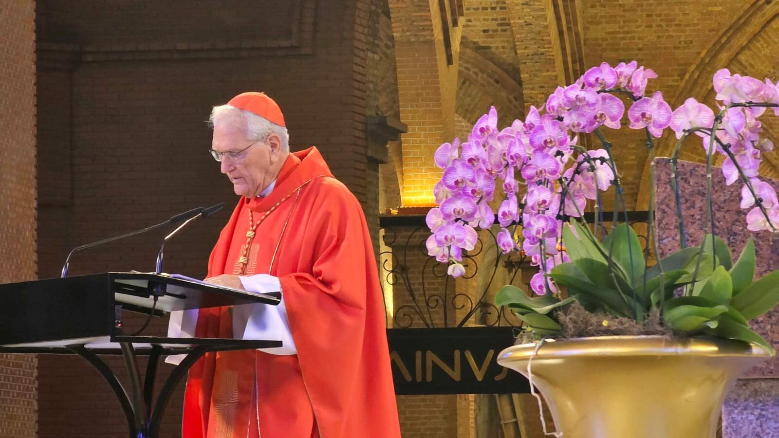 Mariana Joffre/ A12 Mariana Joffre/ A12