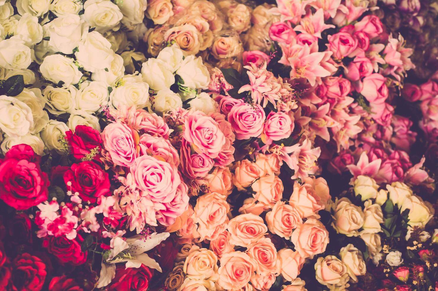 Pushish Images / Shutterstock Pushish Images / Shutterstock