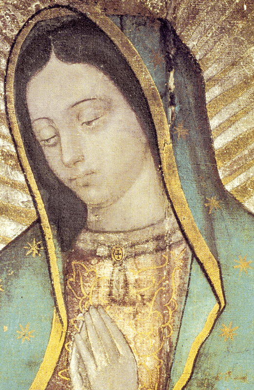 Wikimedia Commons Wikimedia Commons