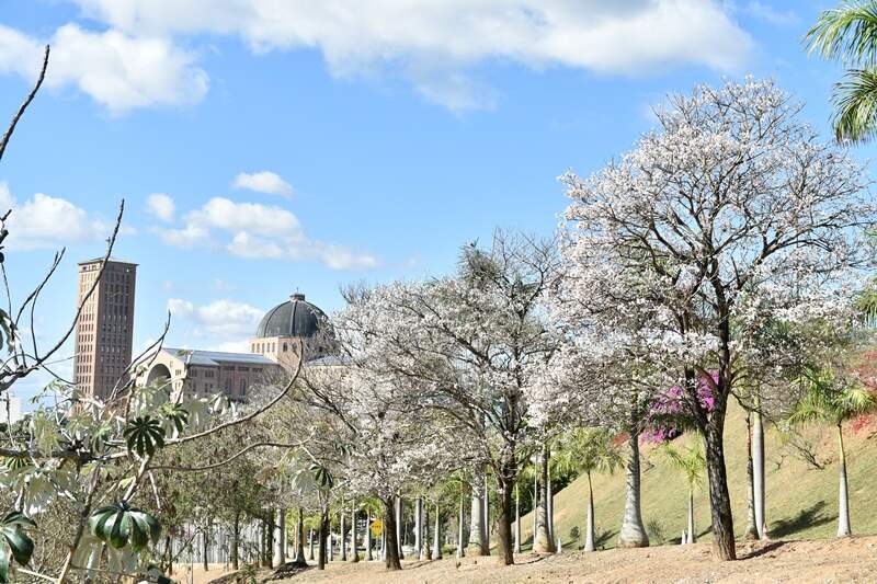 Thiago Leon Thiago Leon