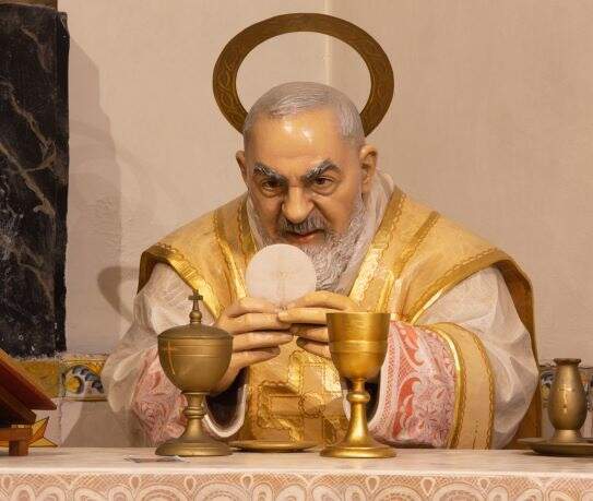 Renata Sedmakova/ Shutterstock Renata Sedmakova/ Shutterstock