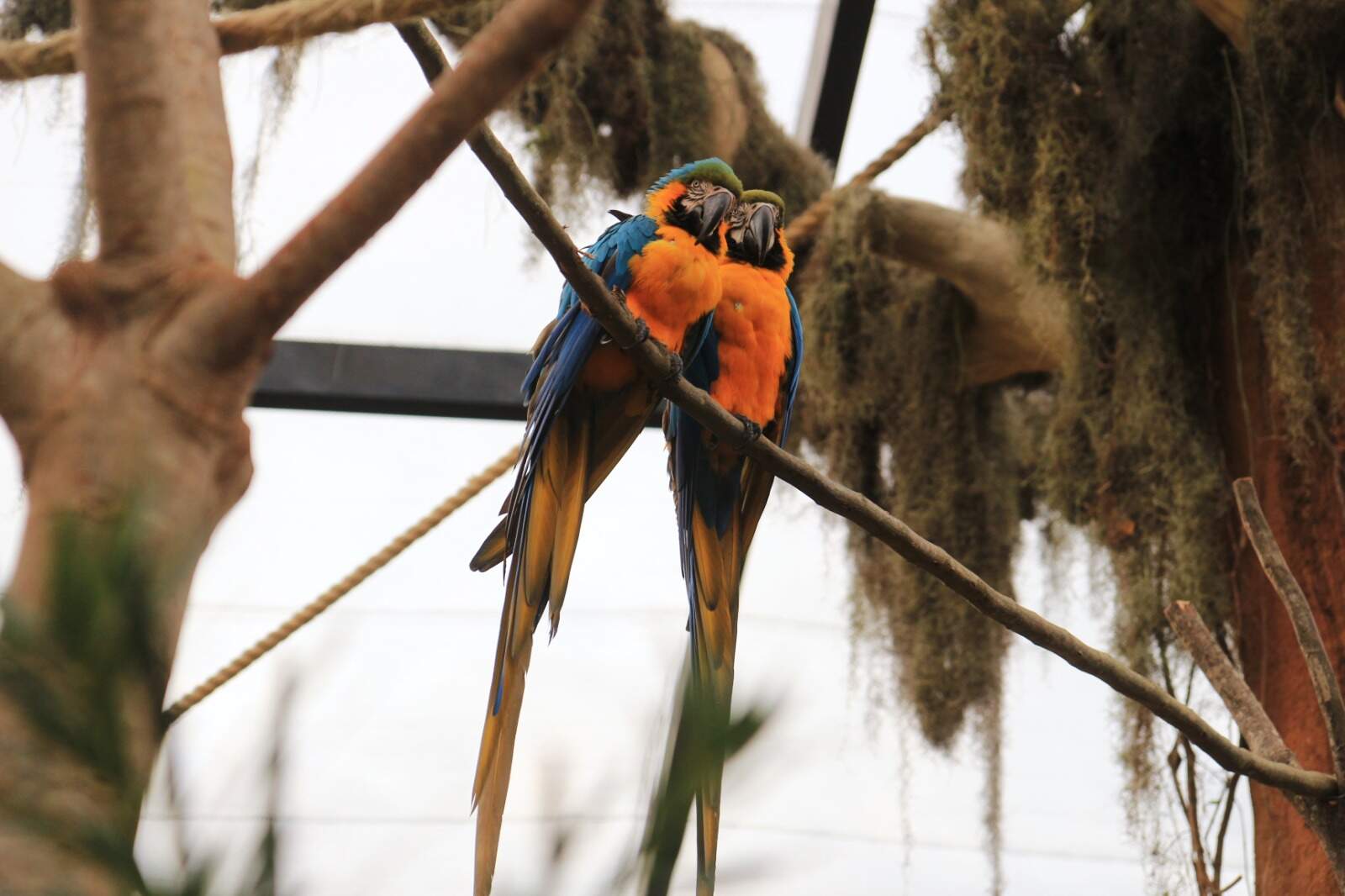 Wilson Silvaston/ Divulgação Parque Três Pescadores