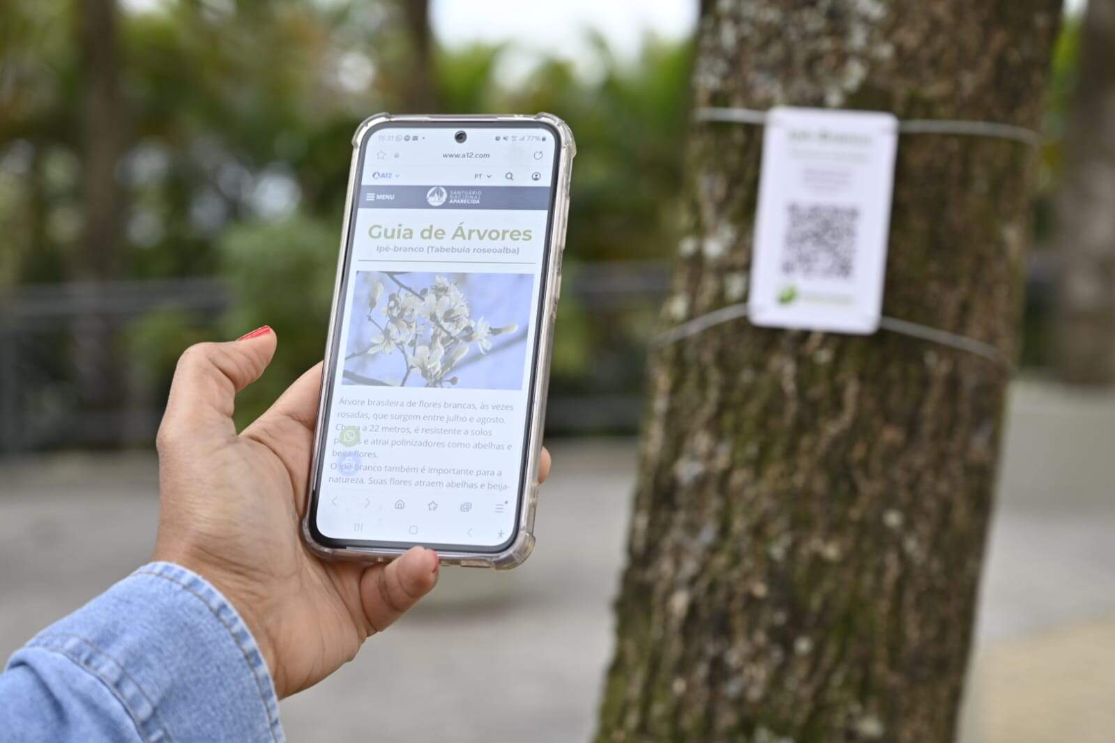 Thiago Leon/Santuário Nacional