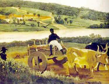 As Plantações As Plantações