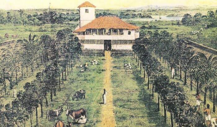 As Plantações As Plantações