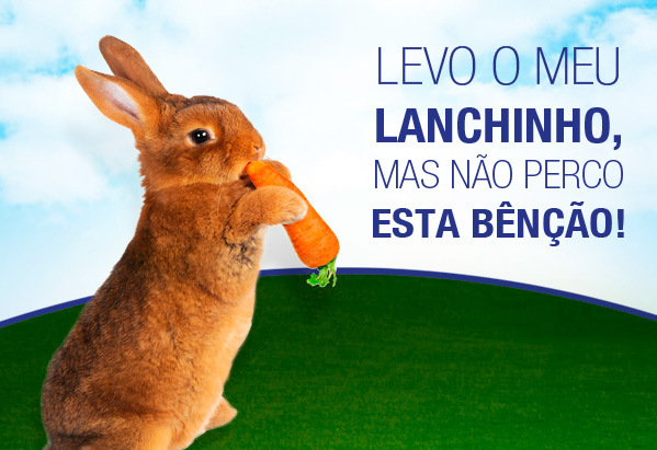 B&ecirc;n&ccedil;&atilde;o dos animais