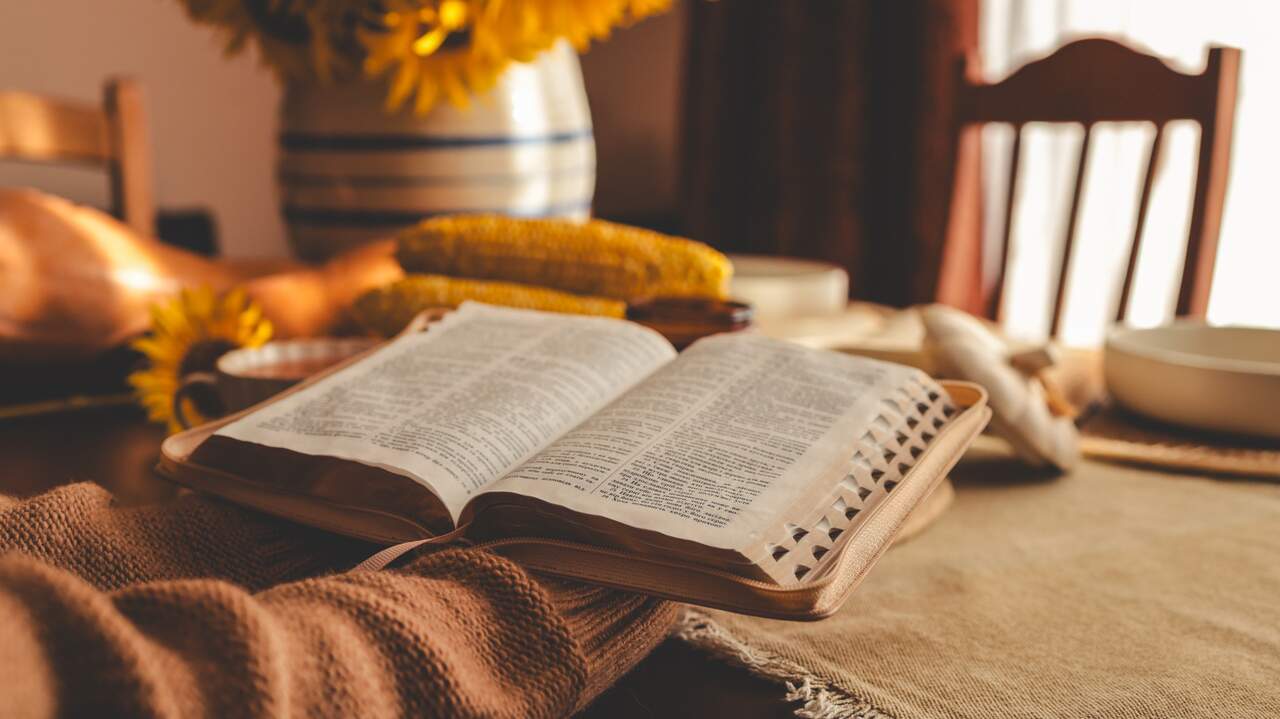 shine.graphics/Adobe Stock