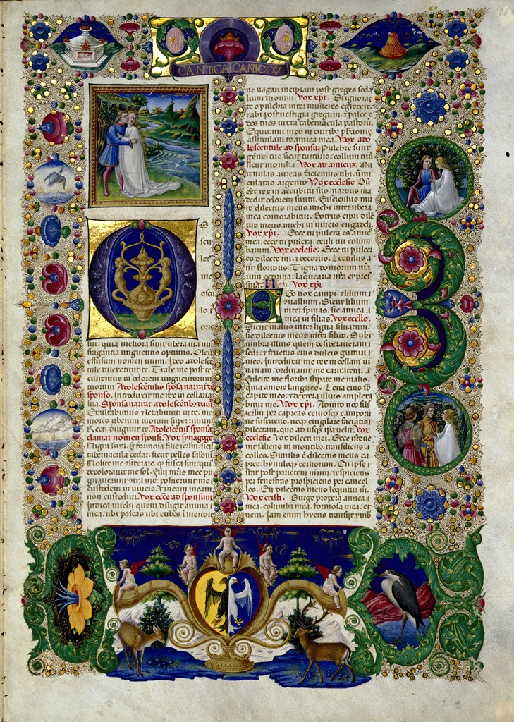 Reprodução Senato.it