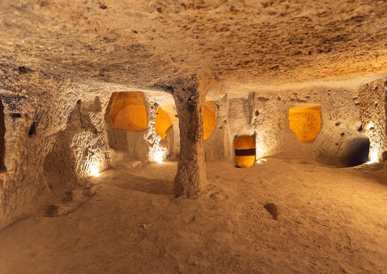 Reprodução/Adobe Stock:Parilov