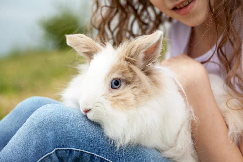 Veronika Zelenina / Shutterstock