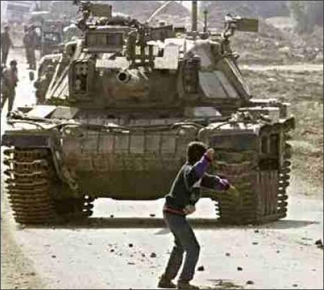 Reprodução Reprodução