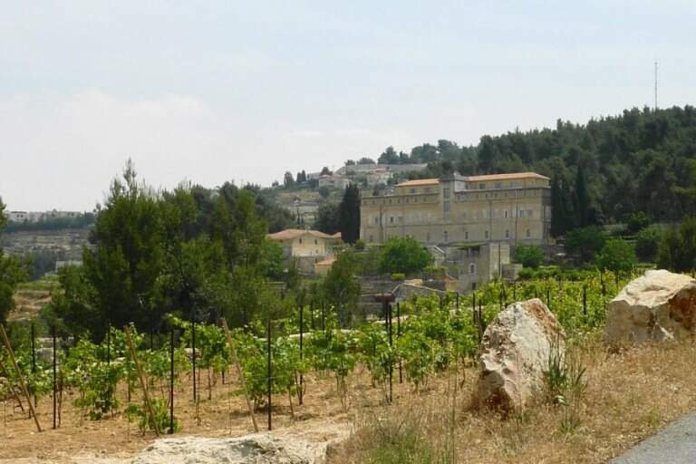 cremissan_cisjordania cremissan_cisjordania