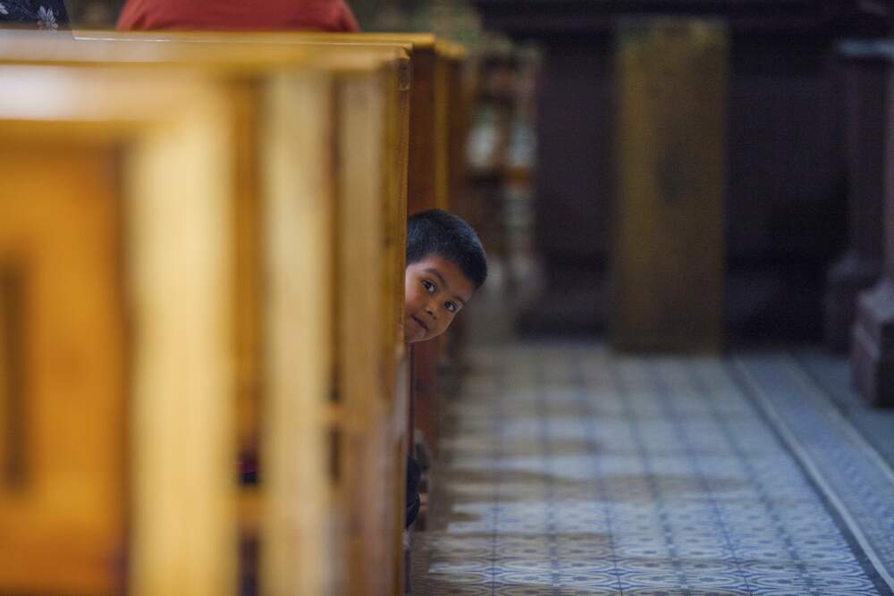 Aberu.Go/ Shutterstock