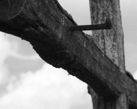Cruz de Jesus