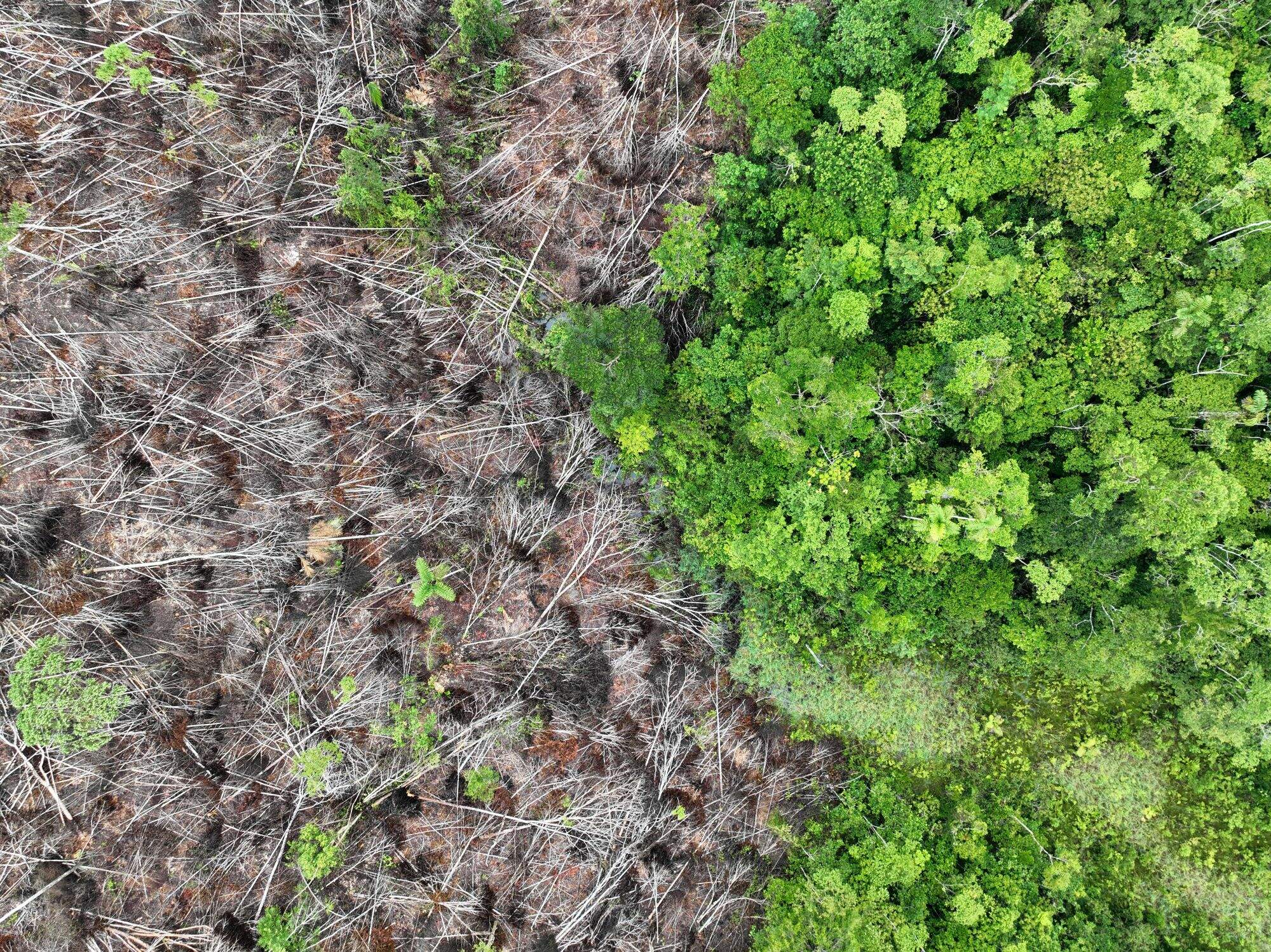 Rhett Ayers Butler/ Adobe Stock