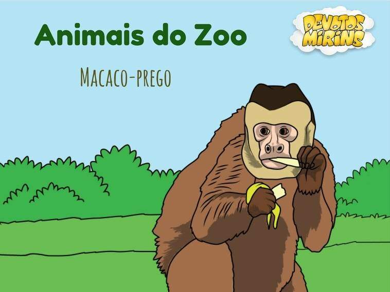 Pôster Macaco-macaco-prego