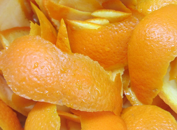 dicas_da_ivana_04_11 dicas_da_ivana_04_11