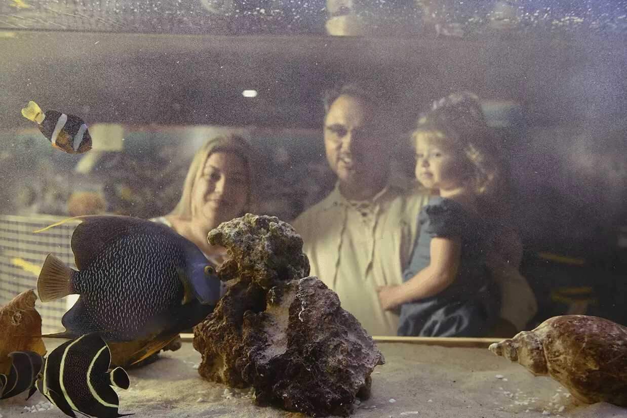 Reprodução Reprodução