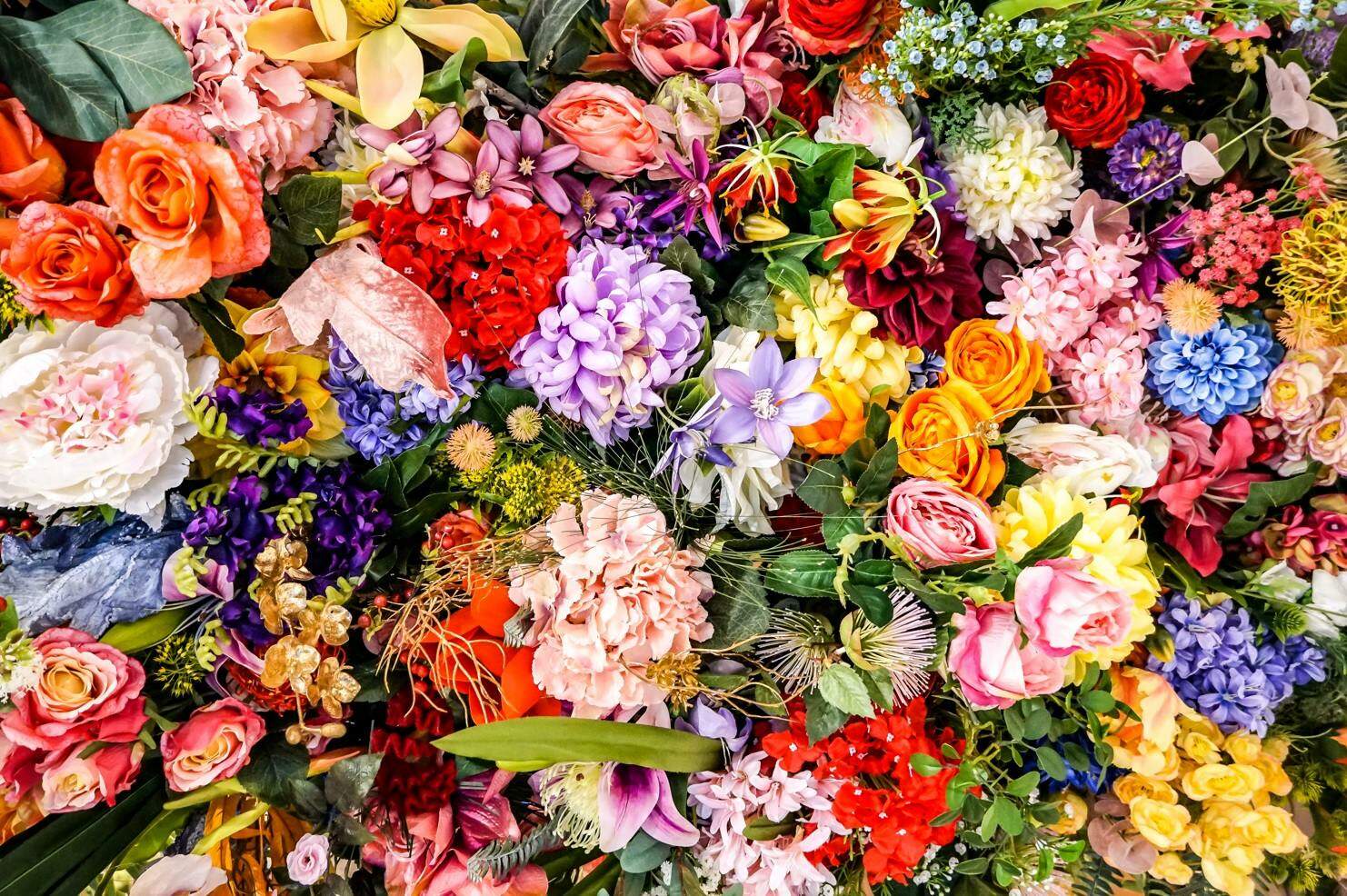 The Escape of Malee / Shutterstock The Escape of Malee / Shutterstock